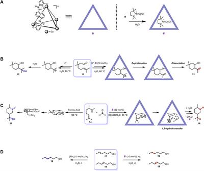 Distinct selectivity inside self-assembled coordination cages